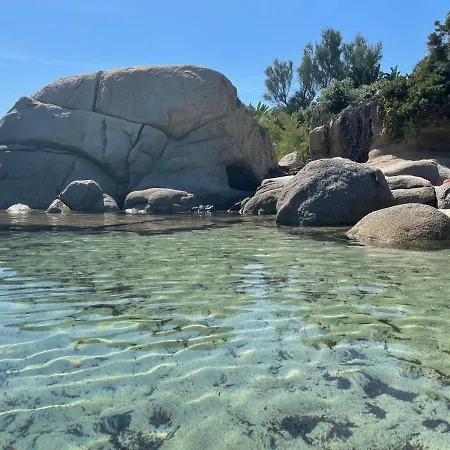 Mareblu Simius Daire