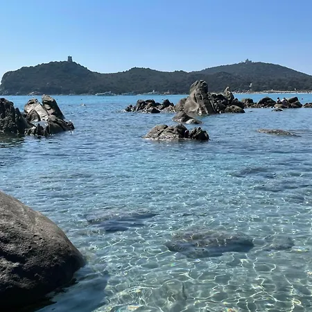 Mareblu Simius